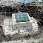 Septic Tank